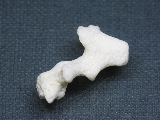 TOKO-BEADS AB326-06 Beach Coral 30mm AB326-06 ビーチサンゴ 30mm Asian bead & African bead  Handmade,Lampeork,bead,asia,india,ethnic,parts,accessory,beads とんぼ玉,ビーズ,トンボ玉,アジア,インド,エスニック,手作り,パーツ,アクセサリー