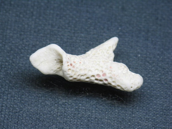 TOKO-BEADS AB326-08 Beach Coral 34mm AB326-08 ビーチサンゴ 34mm Asian bead & African bead  Handmade,Lampeork,bead,asia,india,ethnic,parts,accessory,beads とんぼ玉,ビーズ,トンボ玉,アジア,インド,エスニック,手作り,パーツ,アクセサリー