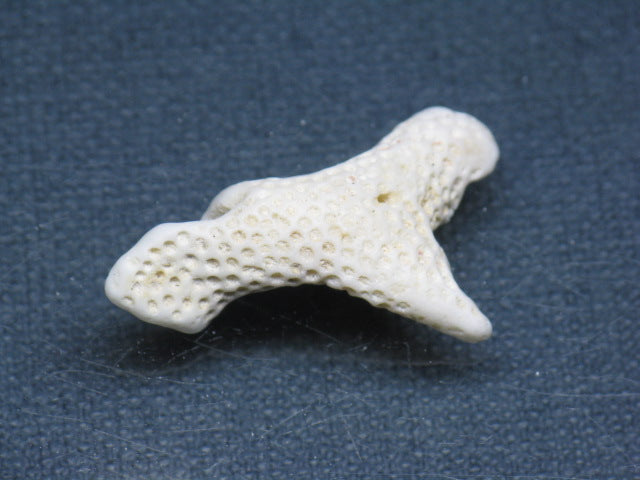 TOKO-BEADS AB326-08 Beach Coral 34mm AB326-08 ビーチサンゴ 34mm Asian bead & African bead  Handmade,Lampeork,bead,asia,india,ethnic,parts,accessory,beads とんぼ玉,ビーズ,トンボ玉,アジア,インド,エスニック,手作り,パーツ,アクセサリー