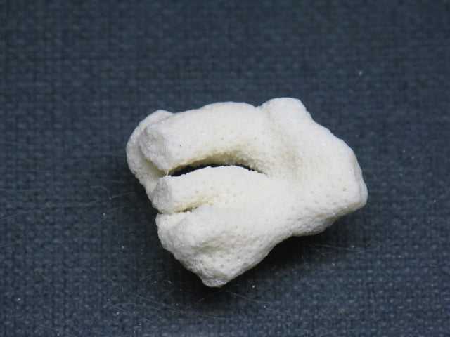 TOKO-BEADS AB326-10 Beach Coral 22mm AB326-10 ビーチサンゴ 22mm Asian bead & African bead  Handmade,Lampeork,bead,asia,india,ethnic,parts,accessory,beads とんぼ玉,ビーズ,トンボ玉,アジア,インド,エスニック,手作り,パーツ,アクセサリー