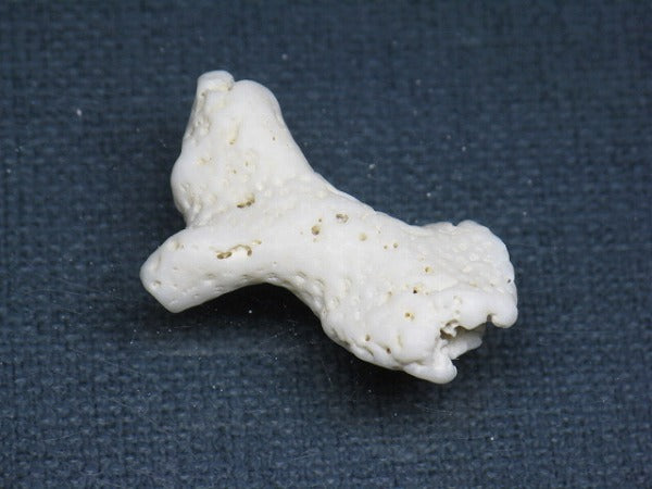 TOKO-BEADS AB326-11 Beach Coral 31mm AB326-11 ビーチサンゴ 31mm Asian bead & African bead  Handmade,Lampeork,bead,asia,india,ethnic,parts,accessory,beads とんぼ玉,ビーズ,トンボ玉,アジア,インド,エスニック,手作り,パーツ,アクセサリー