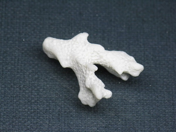 TOKO-BEADS AB326-15 Beach Coral 34mm AB326-15 ビーチサンゴ 34mm Asian bead & African bead  Handmade,Lampeork,bead,asia,india,ethnic,parts,accessory,beads とんぼ玉,ビーズ,トンボ玉,アジア,インド,エスニック,手作り,パーツ,アクセサリー
