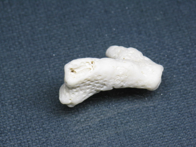 TOKO-BEADS AB326-16 Beach Coral 30mm AB326-16 ビーチサンゴ 30mm Asian bead & African bead  Handmade,Lampeork,bead,asia,india,ethnic,parts,accessory,beads とんぼ玉,ビーズ,トンボ玉,アジア,インド,エスニック,手作り,パーツ,アクセサリー