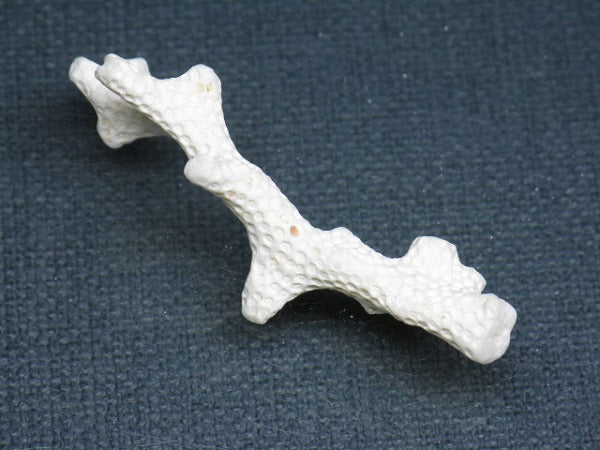 TOKO-BEADS AB326-17 Beach Coral 51mm AB326-17 ビーチサンゴ 51mm Asian bead & African bead  Handmade,Lampeork,bead,asia,india,ethnic,parts,accessory,beads とんぼ玉,ビーズ,トンボ玉,アジア,インド,エスニック,手作り,パーツ,アクセサリー