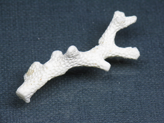 TOKO-BEADS AB326-17 Beach Coral 51mm AB326-17 ビーチサンゴ 51mm Asian bead & African bead  Handmade,Lampeork,bead,asia,india,ethnic,parts,accessory,beads とんぼ玉,ビーズ,トンボ玉,アジア,インド,エスニック,手作り,パーツ,アクセサリー