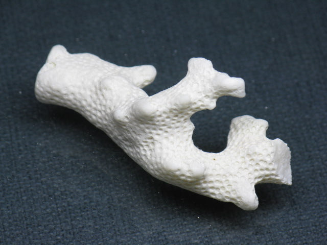 TOKO-BEADS AB326-23 Beach Coral 51mm AB326-23 ビーチサンゴ 51mm Asian bead & African bead  Handmade,Lampeork,bead,asia,india,ethnic,parts,accessory,beads とんぼ玉,ビーズ,トンボ玉,アジア,インド,エスニック,手作り,パーツ,アクセサリー