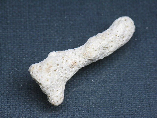 TOKO-BEADS AB326-32 Beach Coral 45mm AB326-32 ビーチサンゴ 45mm Asian bead & African bead  Handmade,Lampeork,bead,asia,india,ethnic,parts,accessory,beads とんぼ玉,ビーズ,トンボ玉,アジア,インド,エスニック,手作り,パーツ,アクセサリー