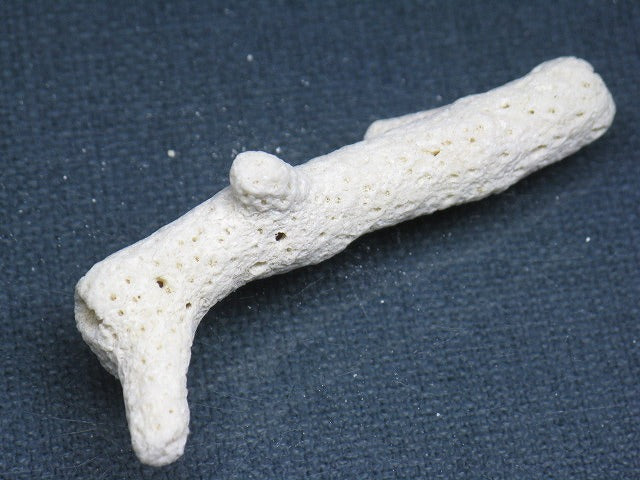 TOKO-BEADS AB326-36 Beach Coral 60mm AB326-36 ビーチサンゴ 60mm Asian bead & African bead  Handmade,Lampeork,bead,asia,india,ethnic,parts,accessory,beads とんぼ玉,ビーズ,トンボ玉,アジア,インド,エスニック,手作り,パーツ,アクセサリー
