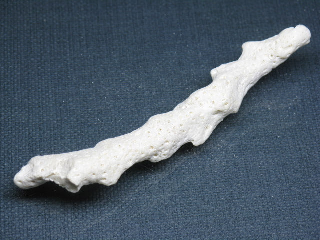 TOKO-BEADS AB326-47 Beach Coral 93mm AB326-47 ビーチサンゴ 93mm Asian bead & African bead  Handmade,Lampeork,bead,asia,india,ethnic,parts,accessory,beads とんぼ玉,ビーズ,トンボ玉,アジア,インド,エスニック,手作り,パーツ,アクセサリー
