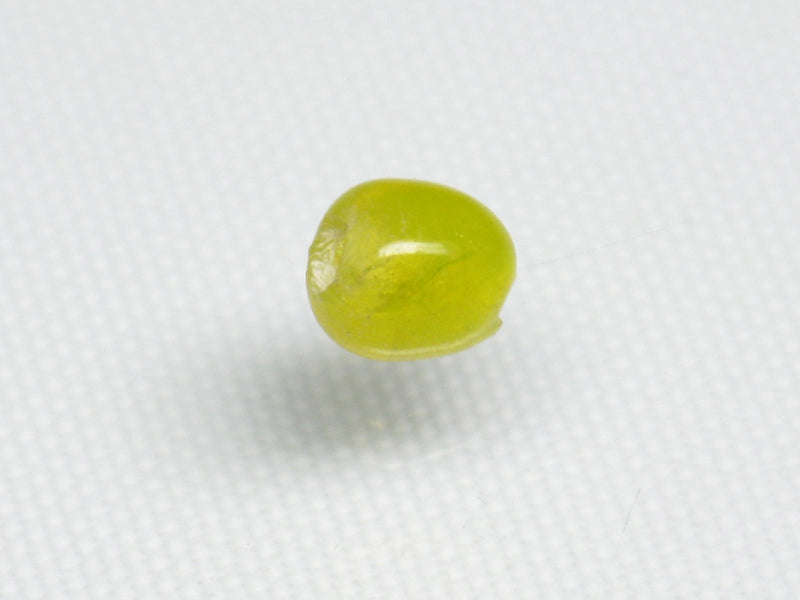 TOKO-BEADS AG027S-22 Glass Seed bead 5~6mm AG027S-22 シードビーズ 5~6mm Asian bead & African bead  Handmade,Lampeork,bead,asia,india,ethnic,parts,accessory,beads とんぼ玉,ビーズ,トンボ玉,アジア,インド,エスニック,手作り,パーツ,アクセサリー