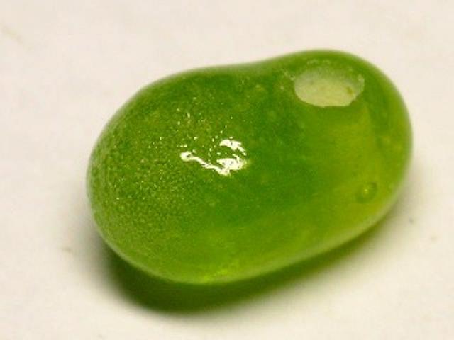 TOKO-BEADS AG920-90 Glass bead 8~12mm AG920-90 しずく型ビーズ 8~12mm Asian bead & African bead  Handmade,Lampeork,bead,asia,india,ethnic,parts,accessory,beads とんぼ玉,ビーズ,トンボ玉,アジア,インド,エスニック,手作り,パーツ,アクセサリー