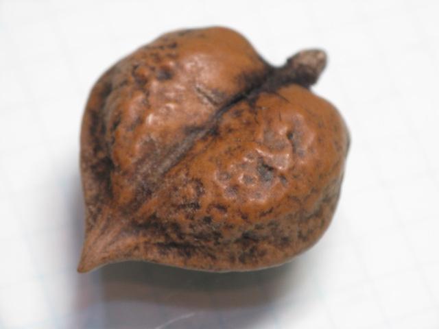 TOKO-BEADS AW199-01 Walnut (No Hole) 30mm AW199-01 ひめくるみ（姫胡桃） 30mm Asian bead & African bead  Handmade,Lampeork,bead,asia,india,ethnic,parts,accessory,beads とんぼ玉,ビーズ,トンボ玉,アジア,インド,エスニック,手作り,パーツ,アクセサリー