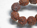 TOKO-BEADS AW200-02N Rudraksha bead (strand) 10mm AW200-02N 菩提樹ビーズ（連） 10mm Asian bead & African bead  Handmade,Lampeork,bead,asia,india,ethnic,parts,accessory,beads とんぼ玉,ビーズ,トンボ玉,アジア,インド,エスニック,手作り,パーツ,アクセサリー