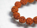 TOKO-BEADS AW200-03N Rudraksha bead (strand) 7.5mm AW200-03N 菩提樹ビーズ（連） 7.5mm Asian bead & African bead  Handmade,Lampeork,bead,asia,india,ethnic,parts,accessory,beads とんぼ玉,ビーズ,トンボ玉,アジア,インド,エスニック,手作り,パーツ,アクセサリー