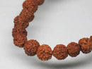TOKO-BEADS AW200-07N Rudraksha bead (strand) 5.5mm AW200-07N 菩提樹ビーズ（連） 5.5mm Asian bead & African bead  Handmade,Lampeork,bead,asia,india,ethnic,parts,accessory,beads とんぼ玉,ビーズ,トンボ玉,アジア,インド,エスニック,手作り,パーツ,アクセサリー