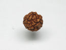TOKO-BEADS AW200-03S Rudraksha bead 7.5mm AW200-03S 菩提樹ビーズ 7.5mm Asian bead & African bead  Handmade,Lampeork,bead,asia,india,ethnic,parts,accessory,beads とんぼ玉,ビーズ,トンボ玉,アジア,インド,エスニック,手作り,パーツ,アクセサリー