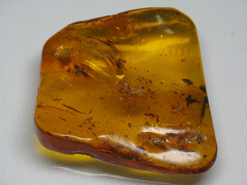 AZ137-09 Amber charm with insects�@inside 46mm