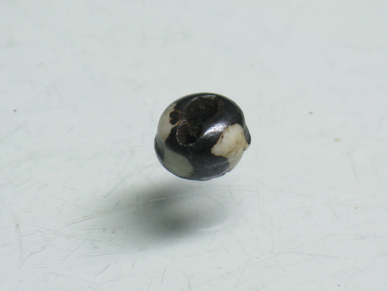 TOKO-BEADS BB109-16 Bone bead 6.5mm BB109-16 ボーンビーズ 6.5mm Asian bead & African bead  Handmade,Lampeork,bead,asia,india,ethnic,parts,accessory,beads とんぼ玉,ビーズ,トンボ玉,アジア,インド,エスニック,手作り,パーツ,アクセサリー
