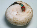 TOKO-BEADS BB110-64 Afghan Antique Shell bead 28mm BB110-64 アフガンアンティークシェルビーズ 28mm Asian bead & African bead  Handmade,Lampeork,bead,asia,india,ethnic,parts,accessory,beads とんぼ玉,ビーズ,トンボ玉,アジア,インド,エスニック,手作り,パーツ,アクセサリー