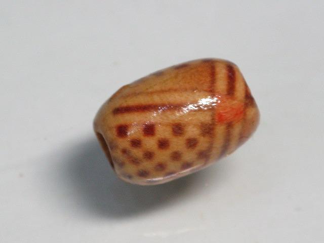 TOKO-BEADS BW006P-27 Wooden bead (50pcs) 8~9.5mm BW006P-27 ウッドビーズ（50個） 8~9.5mm Asian bead & African bead  Handmade,Lampeork,bead,asia,india,ethnic,parts,accessory,beads とんぼ玉,ビーズ,トンボ玉,アジア,インド,エスニック,手作り,パーツ,アクセサリー