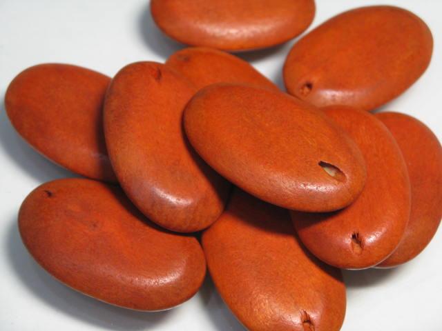 TOKO-BEADS BW010-22P Wooden bead (10pcs) 26mm BW010-22P フラットウッドビーズ（10個パック） 26mm Asian bead & African bead  Handmade,Lampeork,bead,asia,india,ethnic,parts,accessory,beads とんぼ玉,ビーズ,トンボ玉,アジア,インド,エスニック,手作り,パーツ,アクセサリー
