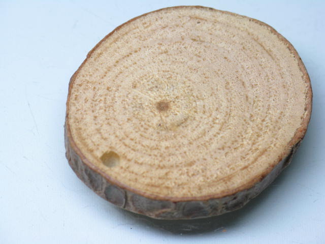 TOKO-BEADS BW014-11 Wooden Charm 36mm BW014-11 ウッドチャーム（年輪） 36mm Asian bead & African bead  Handmade,Lampeork,bead,asia,india,ethnic,parts,accessory,beads とんぼ玉,ビーズ,トンボ玉,アジア,インド,エスニック,手作り,パーツ,アクセサリー