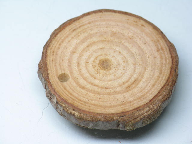 TOKO-BEADS BW014-12 Wooden Charm 39mm BW014-12 ウッドチャーム（年輪） 39mm Asian bead & African bead  Handmade,Lampeork,bead,asia,india,ethnic,parts,accessory,beads とんぼ玉,ビーズ,トンボ玉,アジア,インド,エスニック,手作り,パーツ,アクセサリー