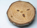 TOKO-BEADS BW014-13 Wooden Charm 40mm BW014-13 ウッドチャーム（年輪） 40mm Asian bead & African bead  Handmade,Lampeork,bead,asia,india,ethnic,parts,accessory,beads とんぼ玉,ビーズ,トンボ玉,アジア,インド,エスニック,手作り,パーツ,アクセサリー