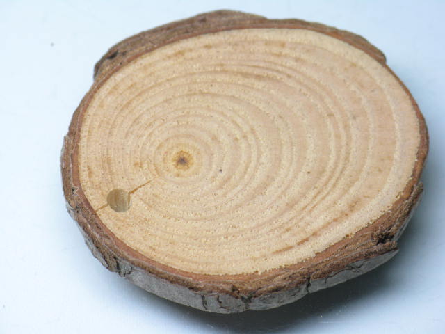 TOKO-BEADS BW014-20 Wooden Charm 42mm BW014-20 ウッドチャーム（年輪） 42mm Asian bead & African bead  Handmade,Lampeork,bead,asia,india,ethnic,parts,accessory,beads とんぼ玉,ビーズ,トンボ玉,アジア,インド,エスニック,手作り,パーツ,アクセサリー