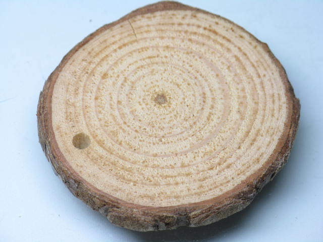 TOKO-BEADS BW014-21 Wooden Charm 41mm BW014-21 ウッドチャーム（年輪） 41mm Asian bead & African bead  Handmade,Lampeork,bead,asia,india,ethnic,parts,accessory,beads とんぼ玉,ビーズ,トンボ玉,アジア,インド,エスニック,手作り,パーツ,アクセサリー