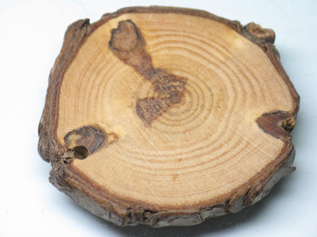 TOKO-BEADS BW014-24 Wooden Charm 52mm BW014-24 ウッドチャーム（年輪） 52mm Asian bead & African bead  Handmade,Lampeork,bead,asia,india,ethnic,parts,accessory,beads とんぼ玉,ビーズ,トンボ玉,アジア,インド,エスニック,手作り,パーツ,アクセサリー
