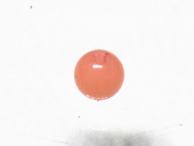 TOKO-BEADS BZ021S-51 Corallite bead 2.5mm BZ021S-51 山さんご 2.5mm Asian bead & African bead  Handmade,Lampeork,bead,asia,india,ethnic,parts,accessory,beads とんぼ玉,ビーズ,トンボ玉,アジア,インド,エスニック,手作り,パーツ,アクセサリー