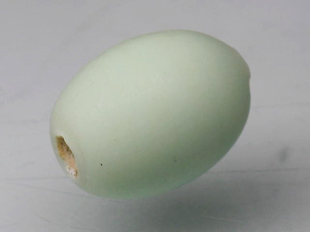 TOKO-BEADS CG920-63 Glass bead 9~10mm CG920-63 ガラスビーズ 9~10mm Asian bead & African bead  Handmade,Lampeork,bead,asia,india,ethnic,parts,accessory,beads とんぼ玉,ビーズ,トンボ玉,アジア,インド,エスニック,手作り,パーツ,アクセサリー