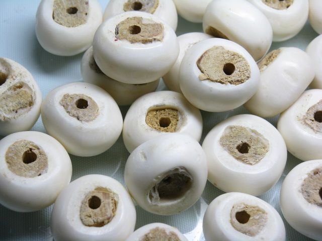 TOKO-BEADS EB001-13N Bone bead (strand) 21~23mm EB001-13N ボーンビーズ（連） 21~23mm Asian bead & African bead  Handmade,Lampeork,bead,asia,india,ethnic,parts,accessory,beads とんぼ玉,ビーズ,トンボ玉,アジア,インド,エスニック,手作り,パーツ,アクセサリー