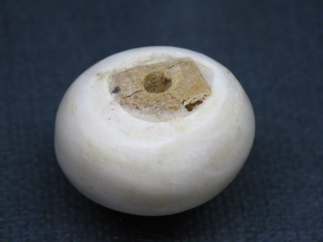 TOKO-BEADS EB001-13S Bone bead 21~23mm EB001-13S ボーンビーズ 21~23mm Asian bead & African bead  Handmade,Lampeork,bead,asia,india,ethnic,parts,accessory,beads とんぼ玉,ビーズ,トンボ玉,アジア,インド,エスニック,手作り,パーツ,アクセサリー