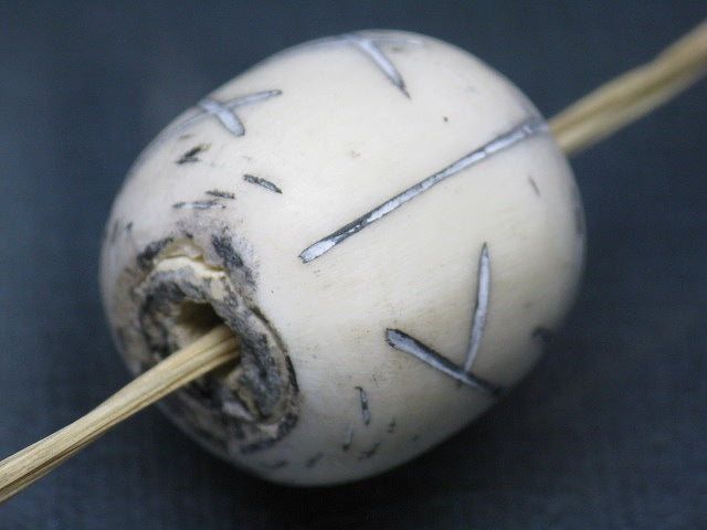 TOKO-BEADS EB055-15 Bone bead 24mm EB055-15 大粒ボーンビーズ 24mm Asian bead & African bead  Handmade,Lampeork,bead,asia,india,ethnic,parts,accessory,beads とんぼ玉,ビーズ,トンボ玉,アジア,インド,エスニック,手作り,パーツ,アクセサリー