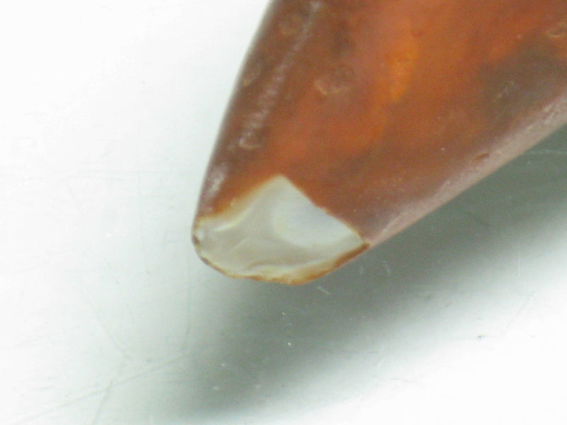 EZ011-29 Tibetan Agate Tooth Pendant 13mm