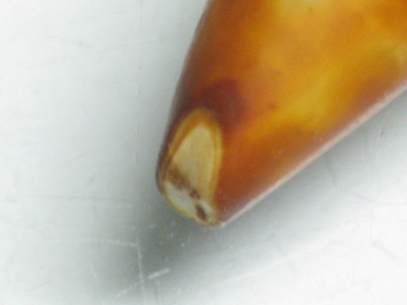 EZ011-30 Tibetan Agate Tooth Pendant 12mm