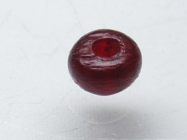 TOKO-BEADS HR103S-16 Horn bead 7mm HR103S-16 ホーンビーズ 7mm Asian bead & African bead  Handmade,Lampeork,bead,asia,india,ethnic,parts,accessory,beads とんぼ玉,ビーズ,トンボ玉,アジア,インド,エスニック,手作り,パーツ,アクセサリー