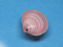 TOKO-BEADS PB006-13 Sakuragai(Cherry blossome shell) charm 16mm PB006-13 桜貝チャーム(L) 16mm Asian bead & African bead  Handmade,Lampeork,bead,asia,india,ethnic,parts,accessory,beads とんぼ玉,ビーズ,トンボ玉,アジア,インド,エスニック,手作り,パーツ,アクセサリー