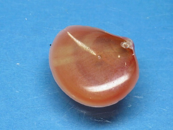 TOKO-BEADS PB006-14 Sakuragai(Cherry blossome shell) charm 18mm PB006-14 桜貝チャーム(L) 18mm Asian bead & African bead  Handmade,Lampeork,bead,asia,india,ethnic,parts,accessory,beads とんぼ玉,ビーズ,トンボ玉,アジア,インド,エスニック,手作り,パーツ,アクセサリー