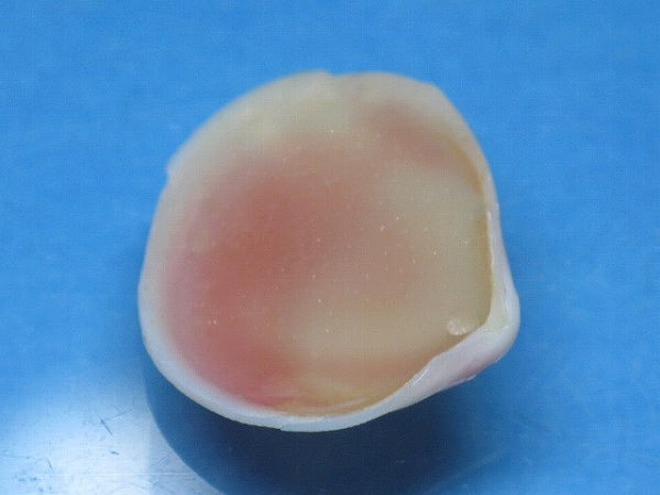 TOKO-BEADS PB006-22 Sakuragai(Cherry blossome shell) charm 18mm PB006-22 桜貝チャーム(L) 18mm Asian bead & African bead  Handmade,Lampeork,bead,asia,india,ethnic,parts,accessory,beads とんぼ玉,ビーズ,トンボ玉,アジア,インド,エスニック,手作り,パーツ,アクセサリー