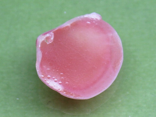TOKO-BEADS PB006-33 Sakuragai(Cherry blossome shell) charm 15mm PB006-33 桜貝チャーム(R) 15mm Asian bead & African bead  Handmade,Lampeork,bead,asia,india,ethnic,parts,accessory,beads とんぼ玉,ビーズ,トンボ玉,アジア,インド,エスニック,手作り,パーツ,アクセサリー