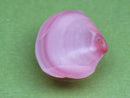 TOKO-BEADS PB006-33 Sakuragai(Cherry blossome shell) charm 15mm PB006-33 桜貝チャーム(R) 15mm Asian bead & African bead  Handmade,Lampeork,bead,asia,india,ethnic,parts,accessory,beads とんぼ玉,ビーズ,トンボ玉,アジア,インド,エスニック,手作り,パーツ,アクセサリー
