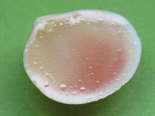 TOKO-BEADS PB006-52 Sakuragai(Cherry blossome shell) charm 18mm PB006-52 桜貝チャーム(R) 18mm Asian bead & African bead  Handmade,Lampeork,bead,asia,india,ethnic,parts,accessory,beads とんぼ玉,ビーズ,トンボ玉,アジア,インド,エスニック,手作り,パーツ,アクセサリー