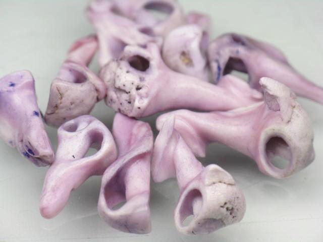 TOKO-BEADS PB006-75 Shell bead (10g) 6~11mm PB006-75 シェルスライス10gセット 6~11mm Asian bead & African bead  Handmade,Lampeork,bead,asia,india,ethnic,parts,accessory,beads とんぼ玉,ビーズ,トンボ玉,アジア,インド,エスニック,手作り,パーツ,アクセサリー