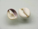 TOKO-BEADS PB006-79 Shell bead 8~12.5mm PB006-79 ハナビラタカラ貝（スライス） 8~12.5mm Asian bead & African bead  Handmade,Lampeork,bead,asia,india,ethnic,parts,accessory,beads とんぼ玉,ビーズ,トンボ玉,アジア,インド,エスニック,手作り,パーツ,アクセサリー