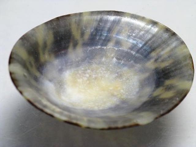 TOKO-BEADS PB007-31 Shell Charm 60mm PB007-31 シェルチャーム 60mm Asian bead & African bead  Handmade,Lampeork,bead,asia,india,ethnic,parts,accessory,beads とんぼ玉,ビーズ,トンボ玉,アジア,インド,エスニック,手作り,パーツ,アクセサリー