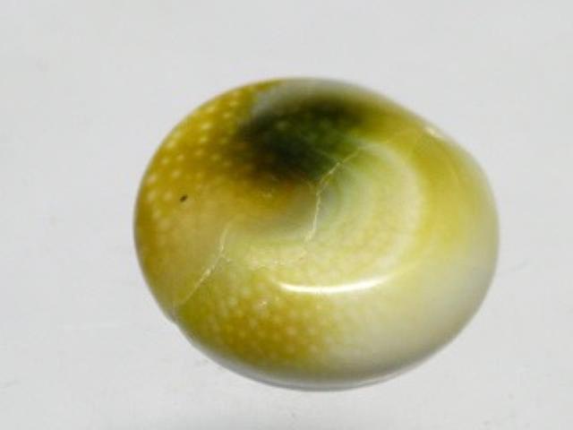 TOKO-BEADS PB007-32 Shell bead 15mm PB007-32 シェルビーズ 15mm Asian bead & African bead  Handmade,Lampeork,bead,asia,india,ethnic,parts,accessory,beads とんぼ玉,ビーズ,トンボ玉,アジア,インド,エスニック,手作り,パーツ,アクセサリー