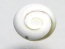TOKO-BEADS PB007-32 Shell bead 15mm PB007-32 シェルビーズ 15mm Asian bead & African bead  Handmade,Lampeork,bead,asia,india,ethnic,parts,accessory,beads とんぼ玉,ビーズ,トンボ玉,アジア,インド,エスニック,手作り,パーツ,アクセサリー